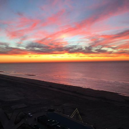 赞德沃特Sunset Boulevard公寓 外观 照片